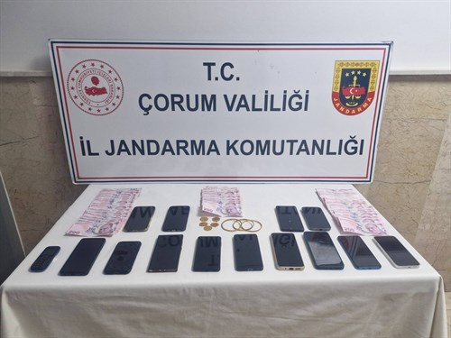 Organize Suç Örgütü Çökertildi.