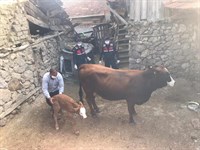 BAYAT İLÇE JANDARMA KOMUTANLIĞI