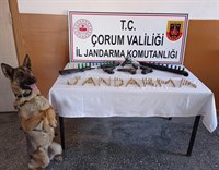 ASAYİŞ ŞUBE MÜDÜRLÜĞÜ