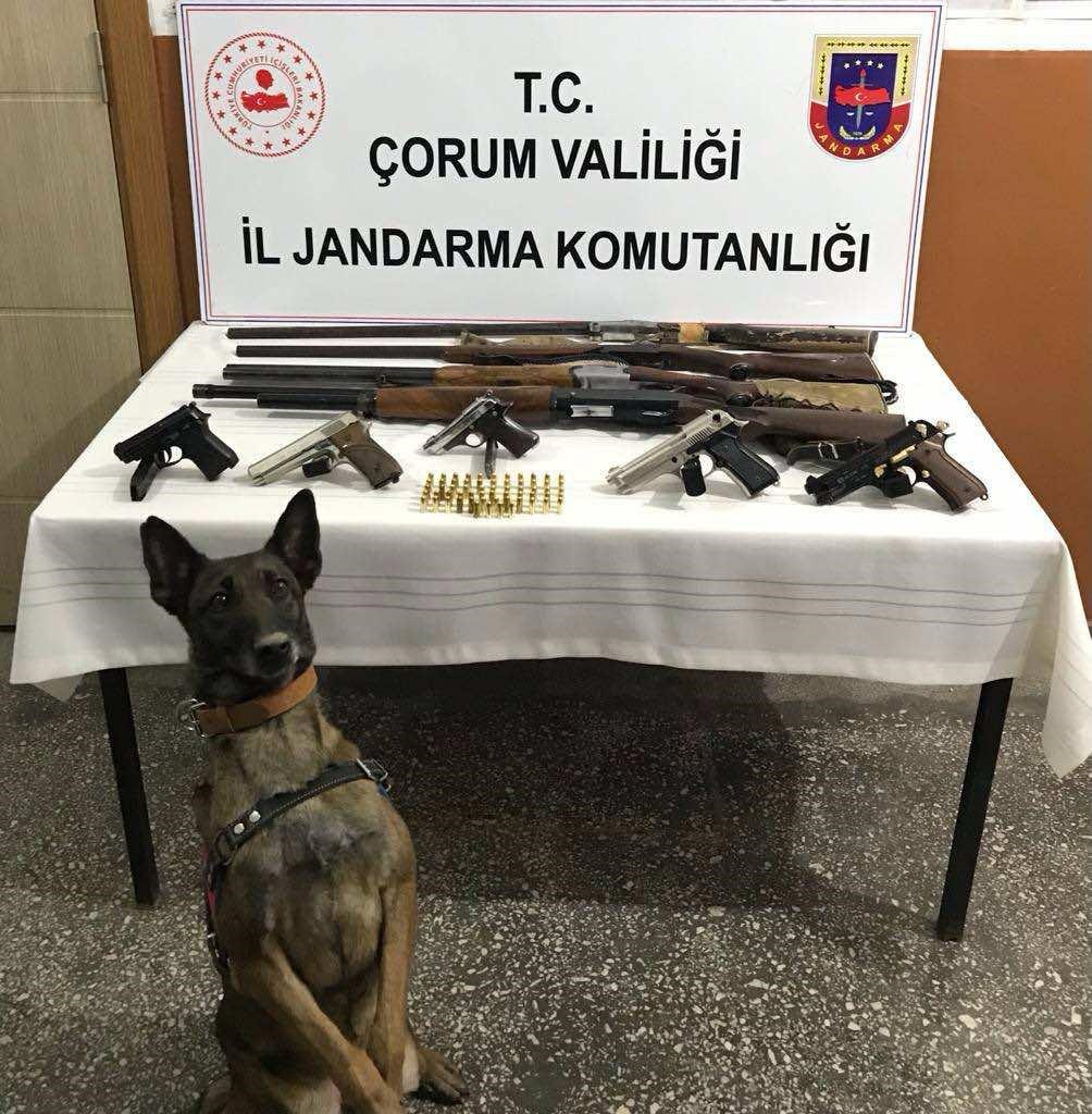 Jandarma Ruhsatsız Silah Kullanan Şahıslara Operasyon düzenledi.