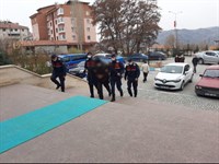 ASAYİŞ ŞUBE MÜDÜRLÜĞÜ